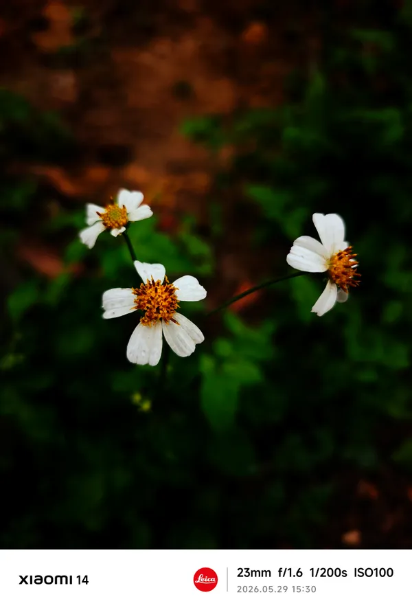 Photography