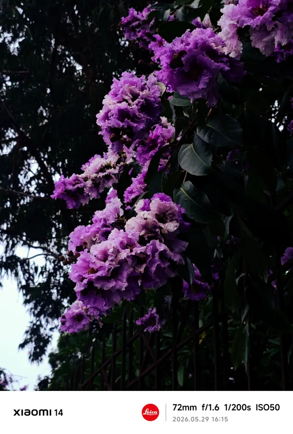 Photography
