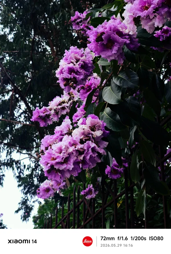 Photography